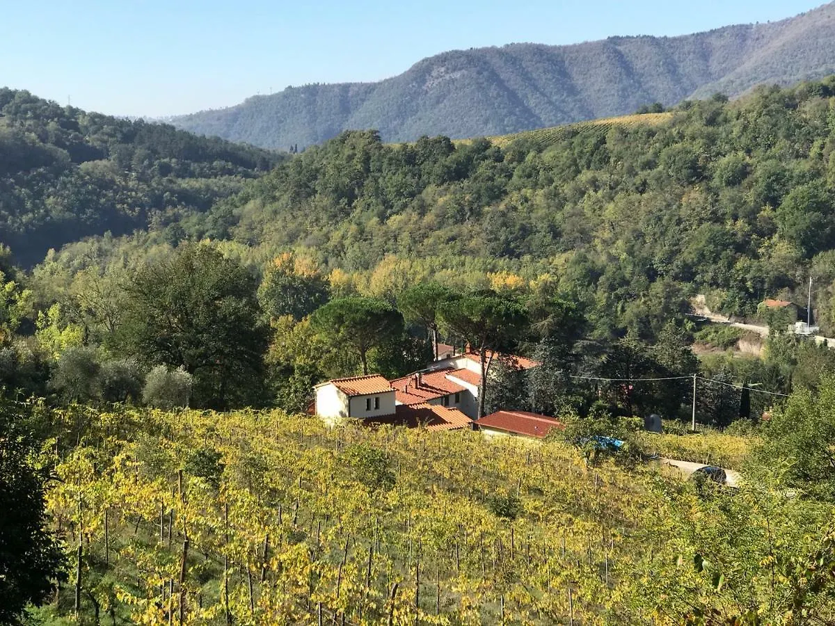 Ferienwohnung Il Poggiolo Ai Casini Scopeti